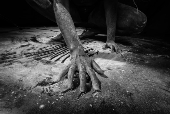 Copyright Contre-Jour Photography (2014)